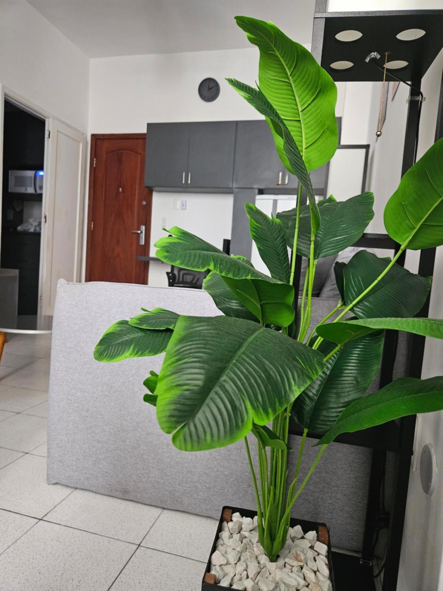Rio Bem-estar Conforto E Localizacao Apartment Rio de Janeiro